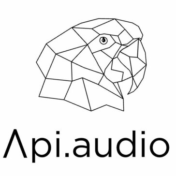 api.audio api.audio