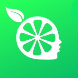 柠檬云财务软件