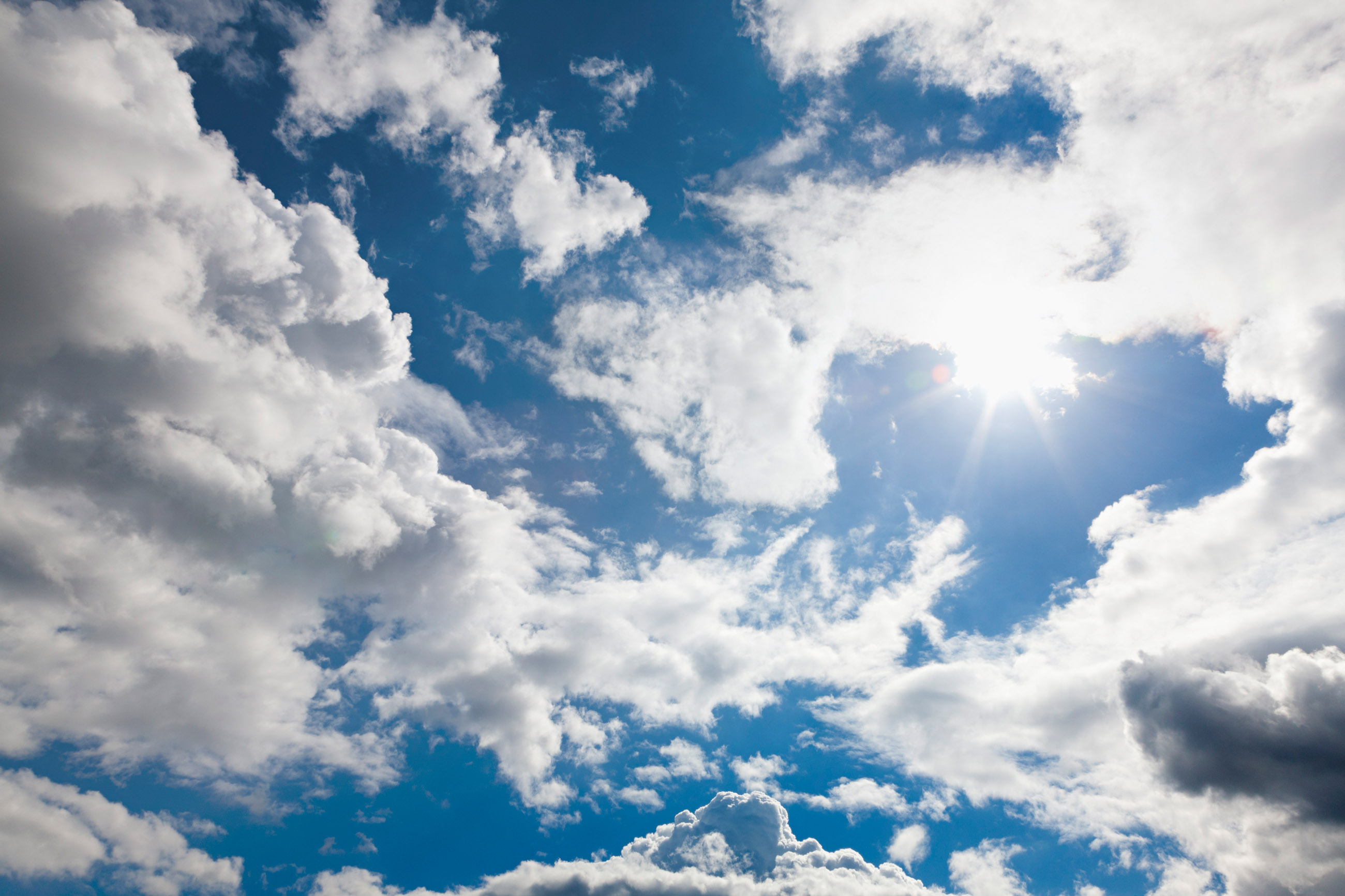 SAP S/4HANA Cloud