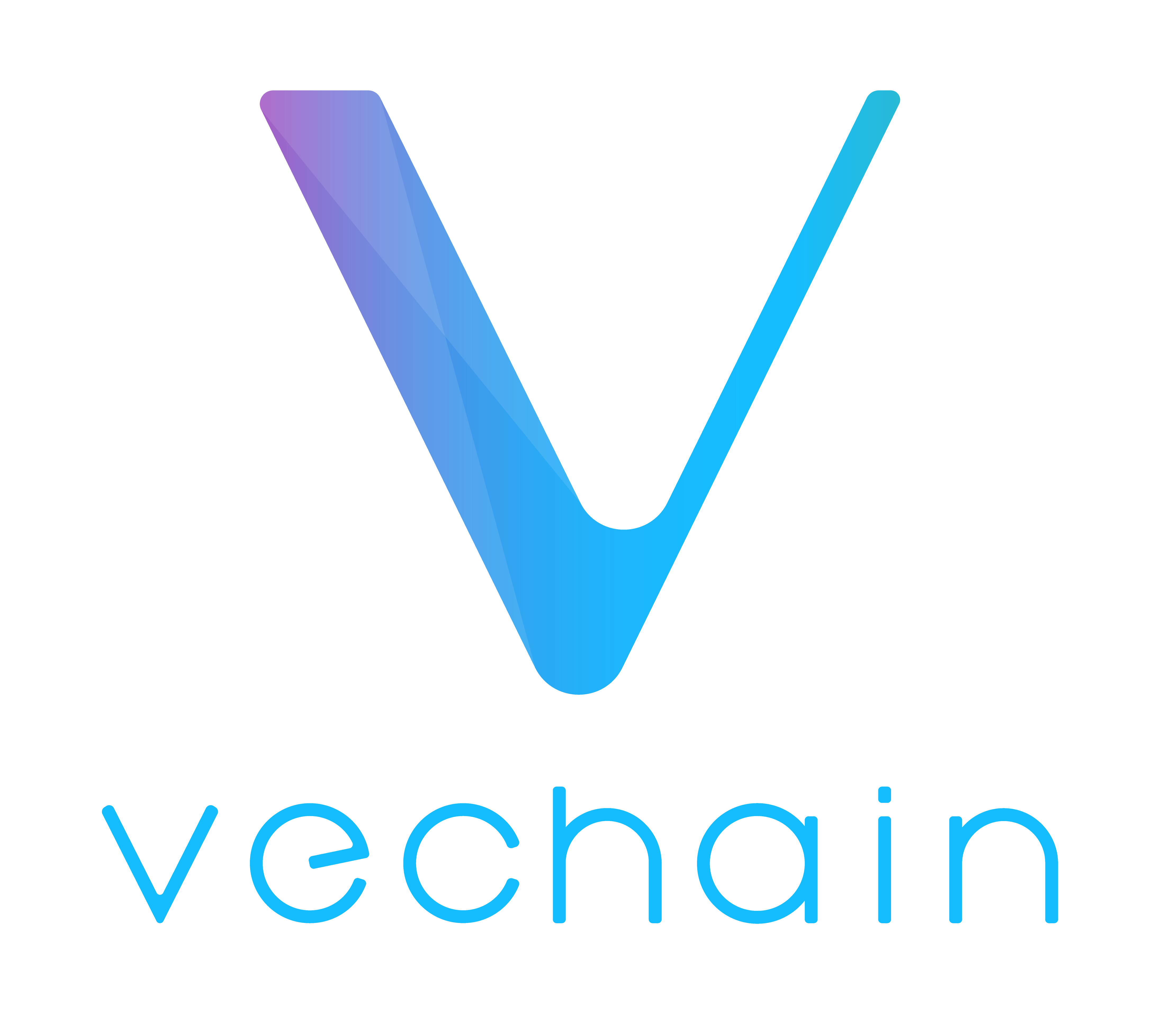 VeChain ToolChain™