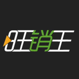 旺销王ERP