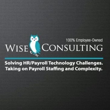 Wise Consulting
