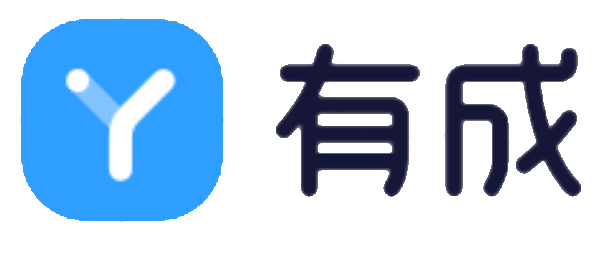 有成财务