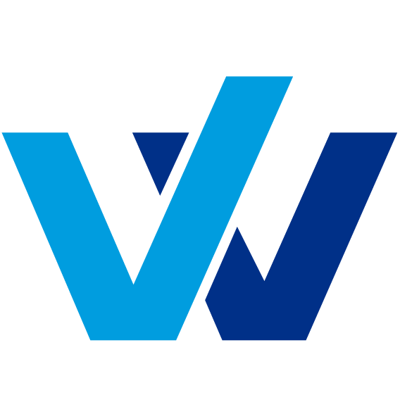 WinToPay独立站全球收单