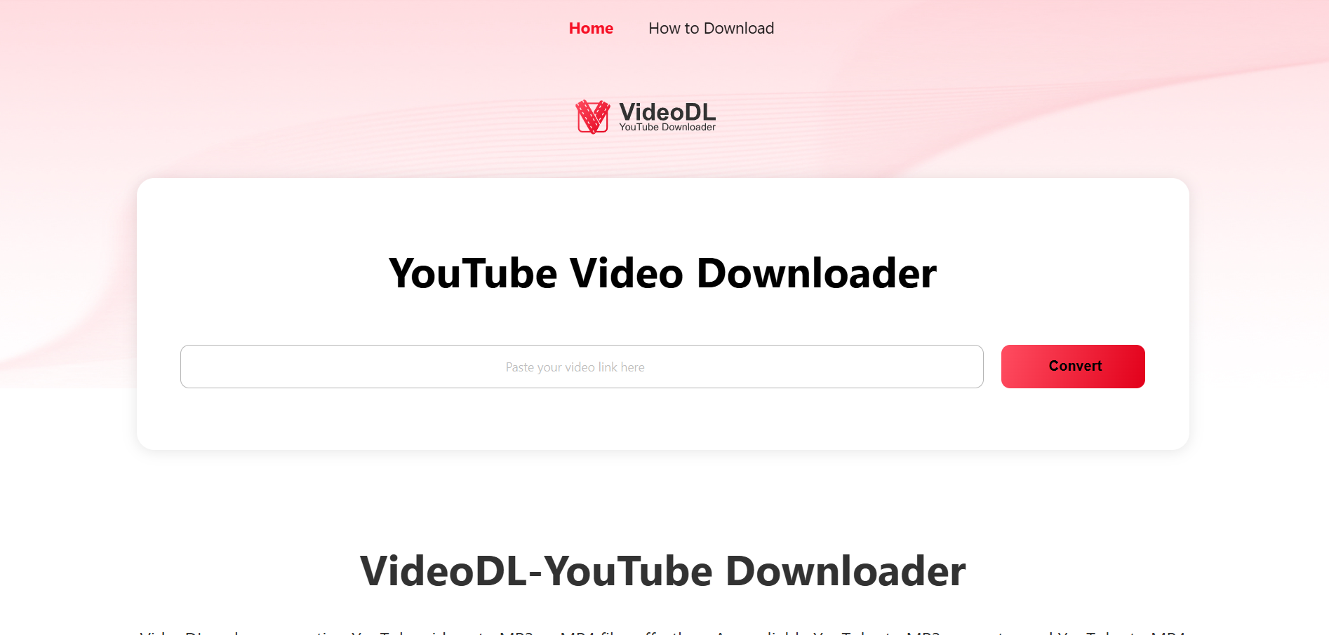 video downloader